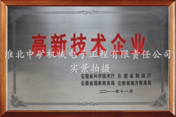 2011年高新技術企業